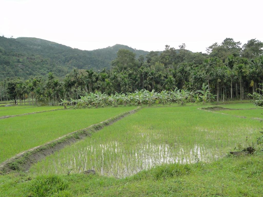 2011-09-08_17-31-26_kalpetta_035.JPG