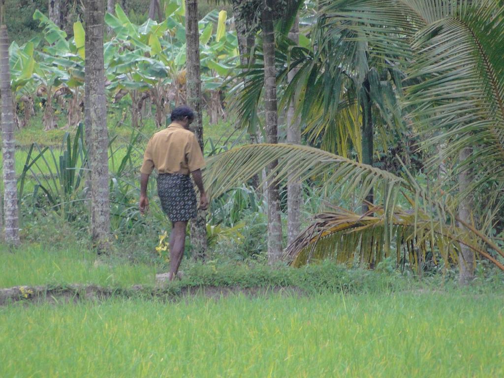 2011-09-08_18-07-11_kalpetta_046.JPG
