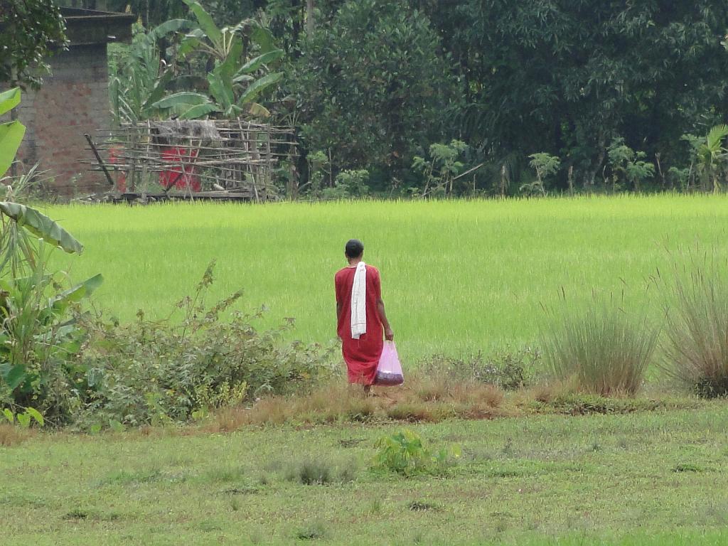 2011-09-10_10-26-12_kalpetta_187.JPG