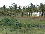 2011-09-08_11-15-18_kalpetta_006