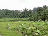 2011-09-08_17-24-23_kalpetta_026