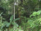 2011-09-08_17-42-11_kalpetta_040