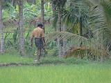 2011-09-08_18-07-11_kalpetta_046