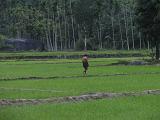 2011-09-08_18-07-28_kalpetta_047