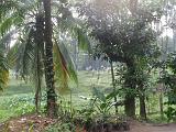 2011-09-09_07-45-03_kalpetta_001