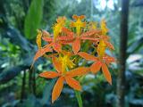 2011-09-09_08-13-34_kalpetta_008