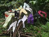 2011-09-09_12-31-03_kalpetta_073