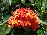 2011-09-09_12-35-31_kalpetta_076