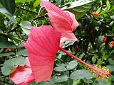 2011-09-09_12-35-39_kalpetta_077