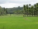 2011-09-10_10-26-36_kalpetta_188