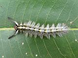 2011-09-10_14-32-59_kalpetta_239