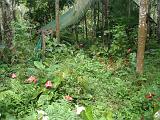 2011-09-11_09-28-22_kalpetta_255