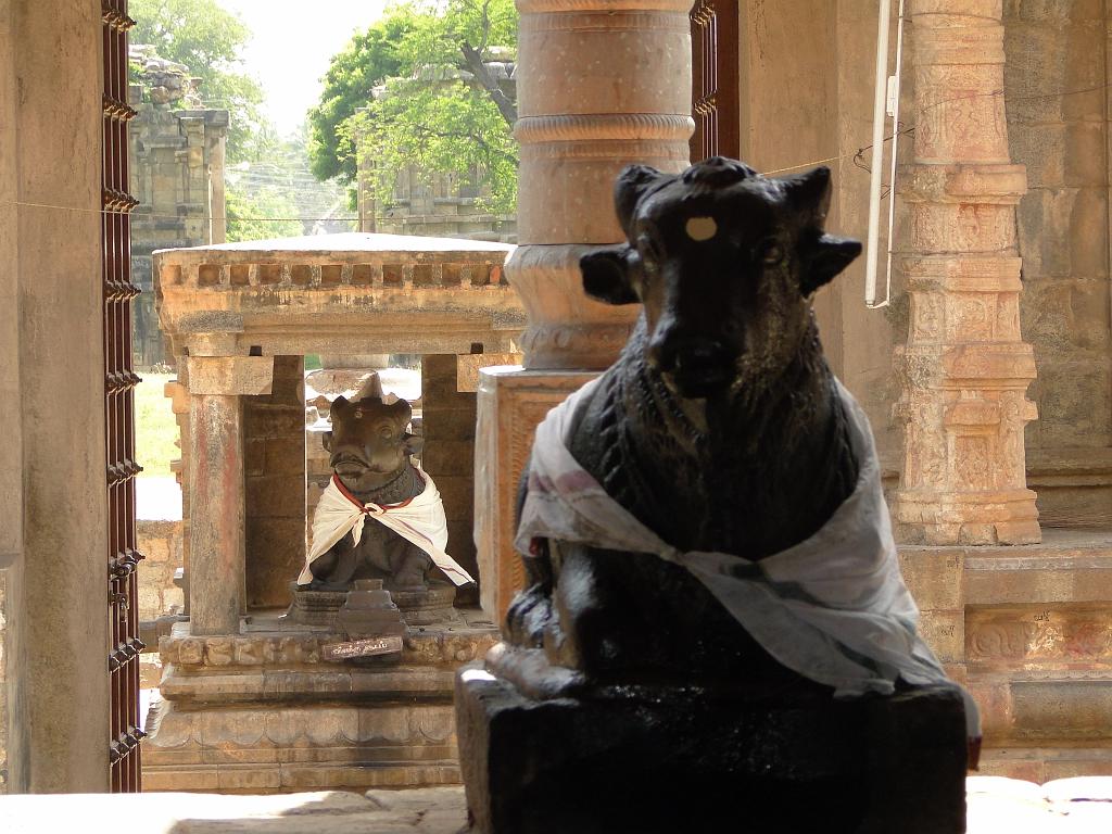 2011-09-21_09-52-52_Dharasuram_021.JPG - Nandi