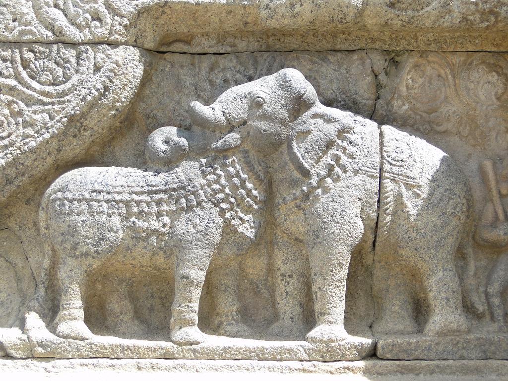 2011-09-21_10-17-12_Dharasuram_046.JPG - éléphant(à droite) ou taureau(à gauche)?