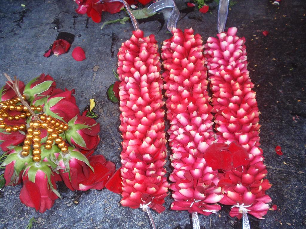 2011-09-22_12-19-04_pondichery_050.JPG