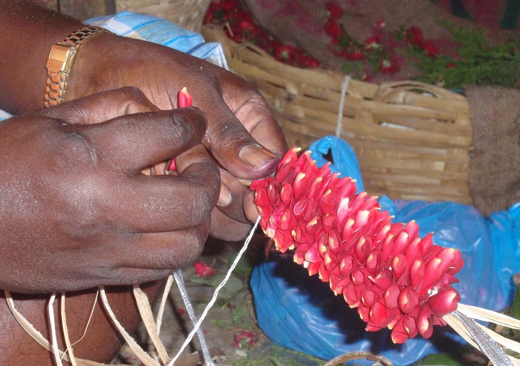 2011-09-22_12-19-32_pondichery_052.JPG - comment faire une guirlande