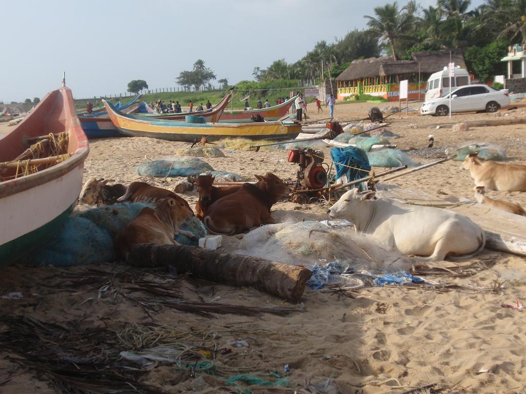 2011-09-25_07-52-25_MAHABALIPURAM_069.JPG