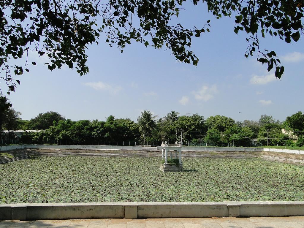 2011-09-25_09-49-14_MAHABALIPURAM_079.JPG - bassin