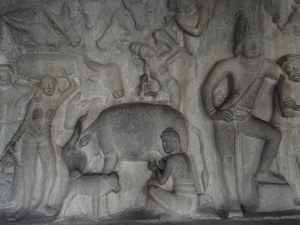 2011-09-25_17-14-35_MAHABALIPURAM_176.JPG - scène de traite