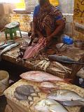 2011-09-22_11-52-06_pondichery_015