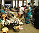 2011-09-22_11-53-05_pondichery_020