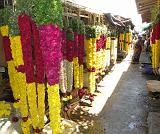 2011-09-22_12-16-32_pondichery_046