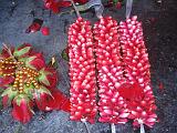 2011-09-22_12-19-04_pondichery_050