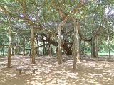 2011-09-23_11-05-00_euroville_008