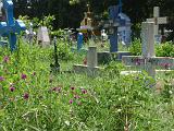 2011-09-23_13-33-21_pondichery_089