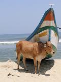 2011-09-24_12-49-17_MAHABALIPURAM_003