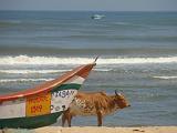 2011-09-24_13-22-57_MAHABALIPURAM_008