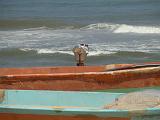 2011-09-24_13-26-49_MAHABALIPURAM_009